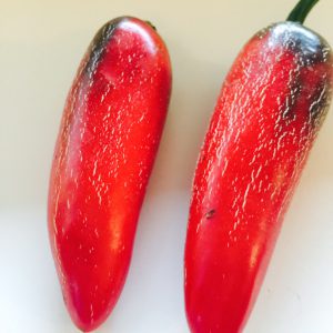 Jalapeno Conchos
